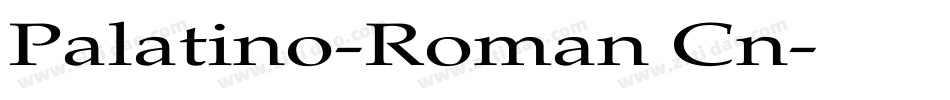 Palatino-Roman Cn字体转换